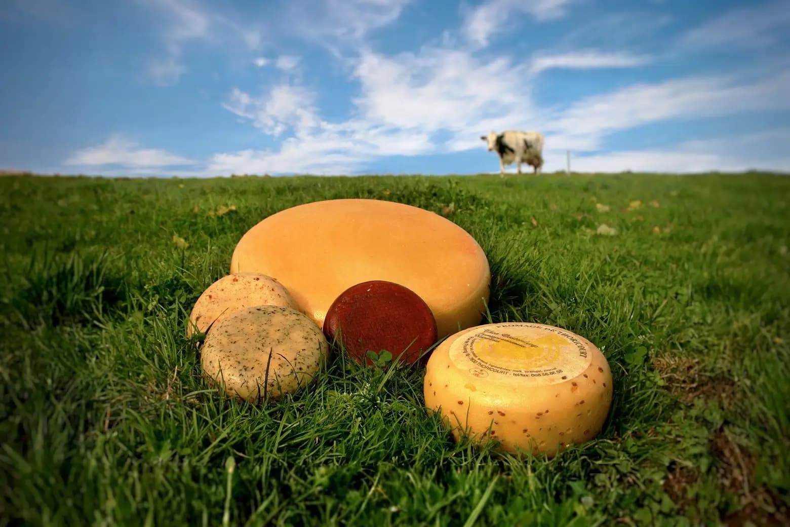 Fromages de Thoricourt